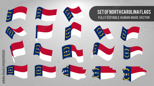 Vector Set of North Carolina Flags