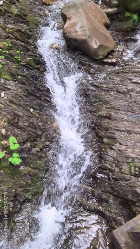Stream flows over rocky terrain in a serene forest setting during a sunny afternoon
