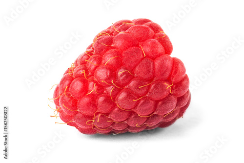 red raspberries close up on white background