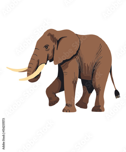 elephant cartoon isolated on white