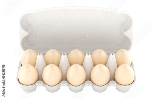 Egg carton containing with ten brown eggs. 3D rendering isolated on transparent background