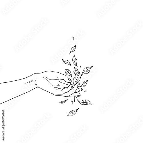 Hand releasing leaves in minimal line art style on white background  