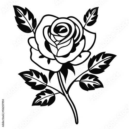 vector art of a single realistic red rose with black and white roses
