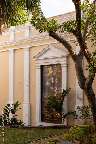 Traditional Yucatan architectural elements in Mexico - pastel yellow wall, old trees, and columns. 