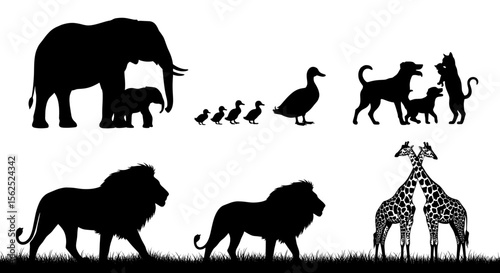 Silhouettes of diverse animals including elephants, ducks, dogs, cats, lions, and giraffes in a row