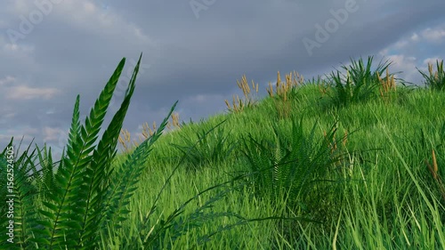 3D time-lapse animation of a vibrant green hill covered in dense grass and ferns, under fast-flowing clouds across a moody sky, capturing dynamic natural movement and light