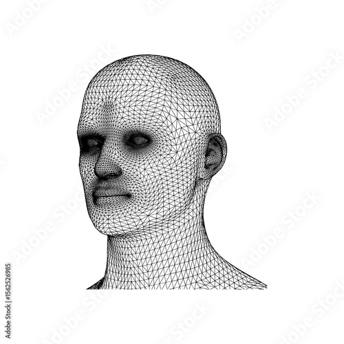 Wireframe 3D Model of a Male Head
