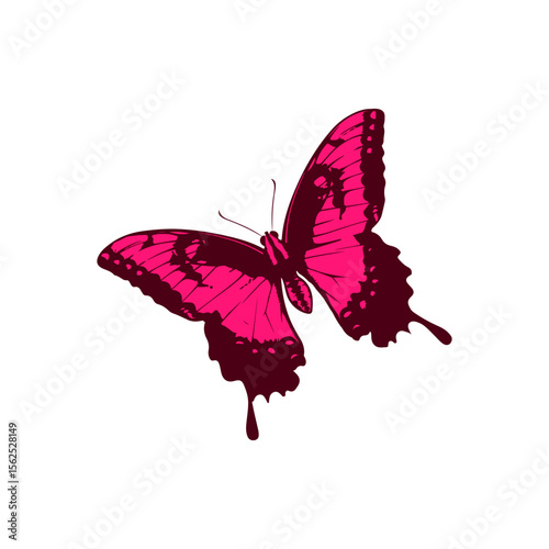 Vibrant Pink Butterfly in Flight Against a White Background