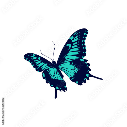 A vibrant teal butterfly in flight, perfect for nature-themed designs.