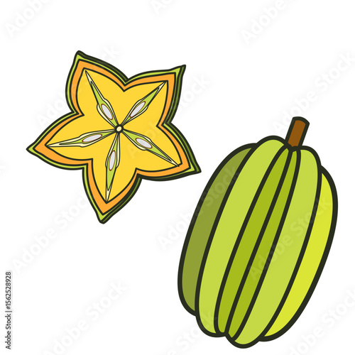 Starfruit in doodle technique vector botanical illustration 