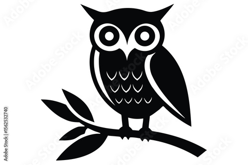 owl on a branch