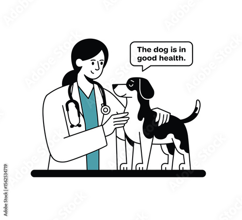 Veterinary doctor checking dog vector on white background. Lady veterinary doctor.