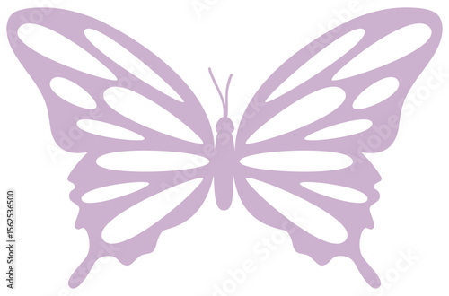 Butterfly | Butterfly Vector Art