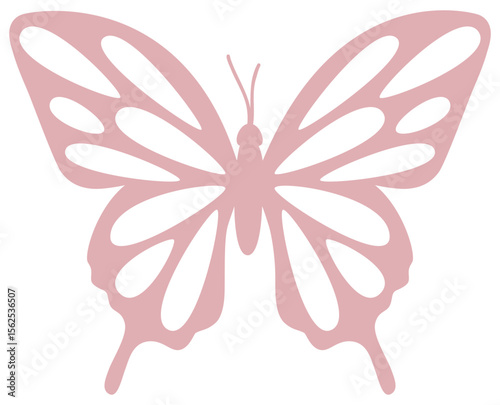 Butterfly | Butterfly Vector Art