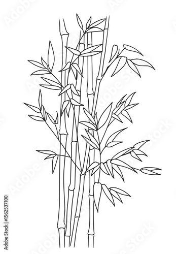 Minimilist illustration of bamboo stalks with leaves in a black outline on a white background showing natural elements vector