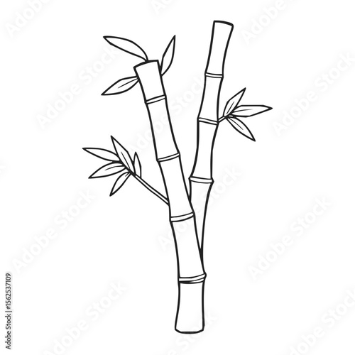 Minimilist illustration of two bamboo stalks with leaves in a black outline style on a white background design art vector