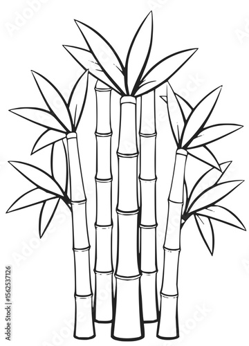 Minimilist illustration of a bamboo grove with leaves in black and white outline drawing style nature and plants art vector