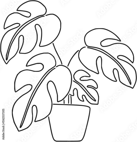 Minimilist illustration of a potted monstera plant with large split leaves and a simple pot in black outline vector