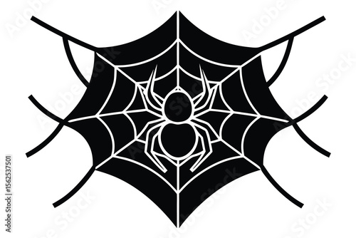 spider on web vector illustration 