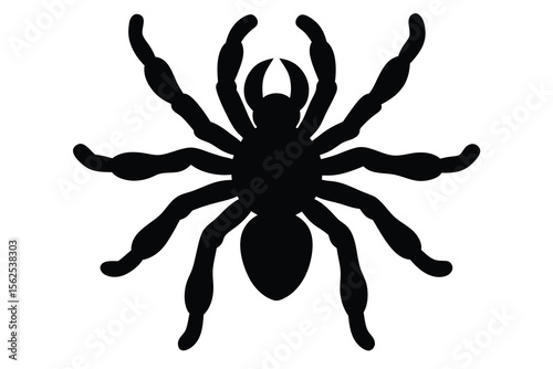 tarantula silhouette vector illustration 