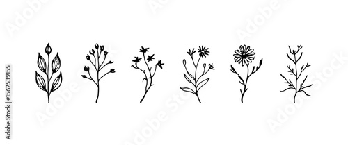 Minimal Corner Decoration. Clean floral corner accent with light botanical lines and elegant detailing for refined composition use.