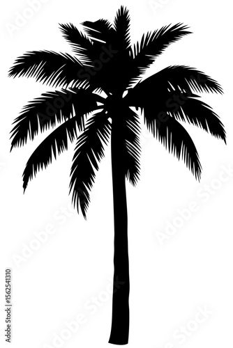 Minimal vector silhouette of a single palm tree, centered with no ground or soil. Isolated on transparent background, perfect for tropical, summer, and clean design projects.