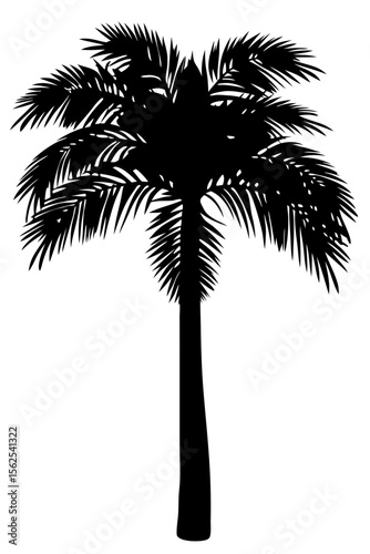 Minimal vector silhouette of a single palm tree, centered with no ground or soil. Isolated on transparent background, perfect for tropical, summer, and clean design projects.