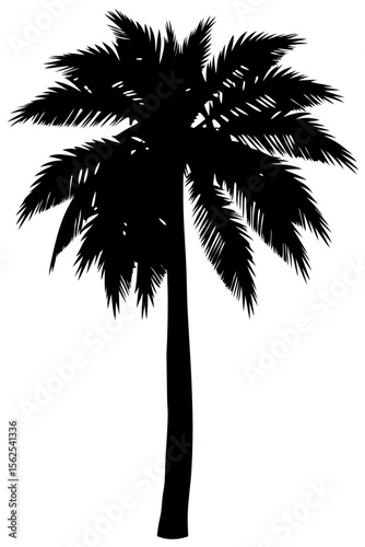 Minimal vector silhouette of a single palm tree, centered with no ground or soil. Isolated on transparent background, perfect for tropical, summer, and clean design projects.