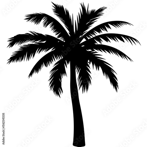 Minimal vector silhouette of a single palm tree, centered with no ground or soil. Isolated on transparent background, perfect for tropical, summer, and clean design projects.