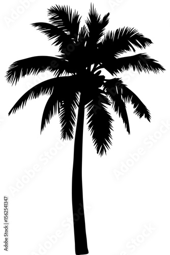 Minimal vector silhouette of a single palm tree, centered with no ground or soil. Isolated on transparent background, perfect for tropical, summer, and clean design projects.
