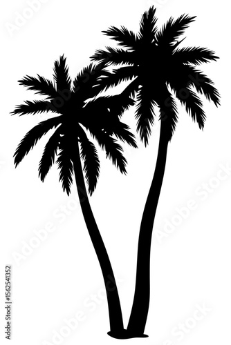 Minimal vector silhouette of a single palm tree, centered with no ground or soil. Isolated on transparent background, perfect for tropical, summer, and clean design projects.