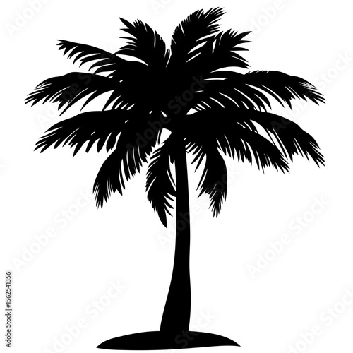Minimal vector silhouette of a single palm tree, centered with no ground or soil. Isolated on transparent background, perfect for tropical, summer, and clean design projects.