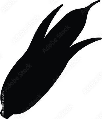 An Ear of Corn with Partially Peeled Husk Viewed in Detail Fresh Agricultural Crop Silhouette Vector