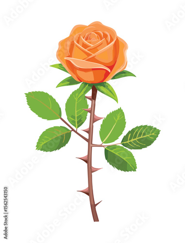 Warm Orange Rose with Green Stem