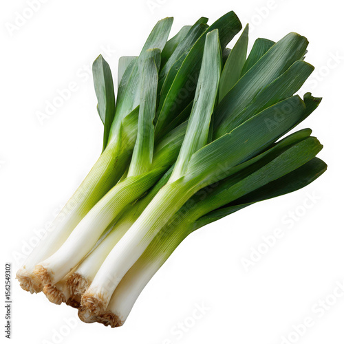 Fresh green leeks with white stems isolated on transparent background