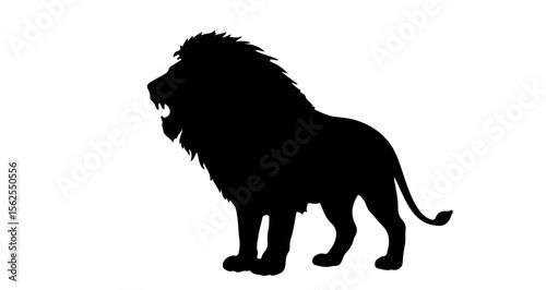 Silhouette of a majestic lion standing tall with a thick mane and powerful stance in black color