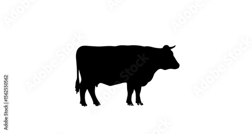 Silhouette of a cow standing in a field with a white background and visible horns and legs shown