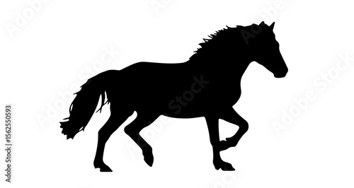 Silhouette of a horse standing with one leg raised against a white background in a side view image