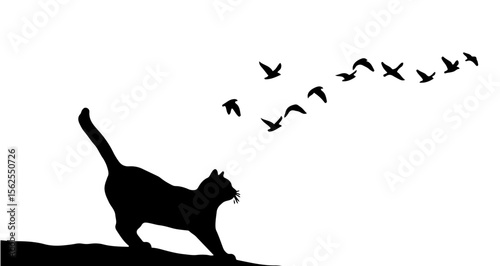 Silhouette of a cat watching a flock of birds flying in the sky on a white background art design