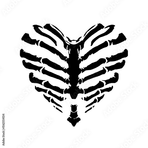 Minimilist heart shaped rib cage illustration in black and white showing human anatomy and skeletal structure art vector