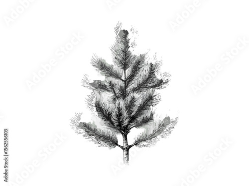 Pine branch engraving, vintage style tree sketch, hand-drawn evergreen, botanical forest art, rustic wood wall print, black ink tree art, woodland decor, pine tree illustration