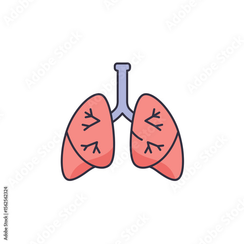 Anatomy and Physiology of the Human Respiratory System and Its Vital Role in Gas Exchange and Breathing Mechanisms for Overall Bodily Health and Function