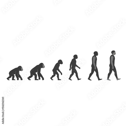 The Journey of Human Evolution From Primates to Modern Man A Visual Representation of Biological Advancement Through The Ages