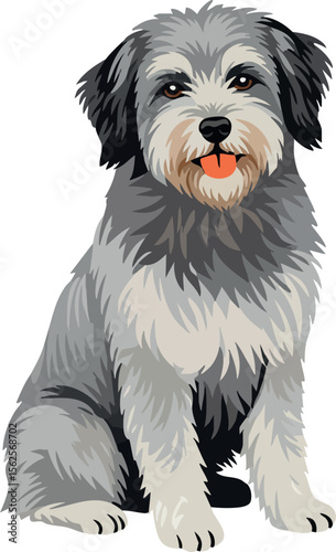 Dog sitting with gray and white fur and tongue out friendly pet vector illustration