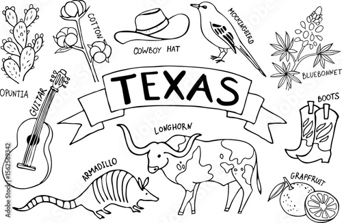 Texas symbols. Animals, plants and objects. Vector illustration set. Line art