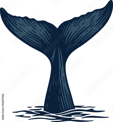 Whale tail diving into ocean water marine wildlife natural sea animal illustration design vector