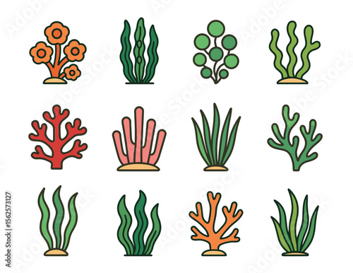 Set of Playful marine plants vector icons (Seaweed, kelp, algae, coral, and seagrass)