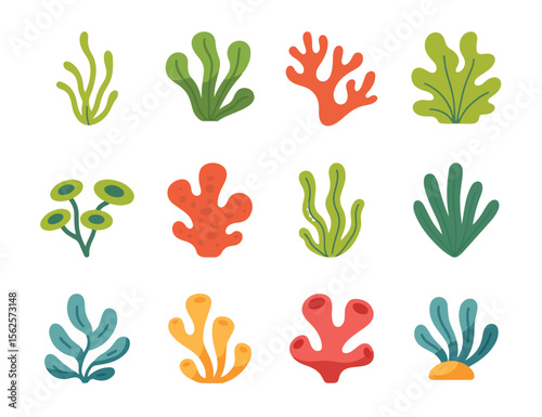 Marine flat vector plants - seaweed, coral, algae, kelp, seagrass,