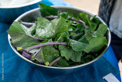 bowl leafy greens 