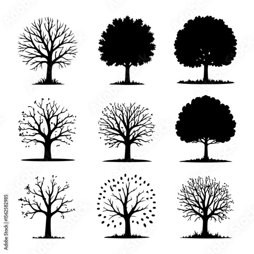 Unique and high quality Tree silhouette set